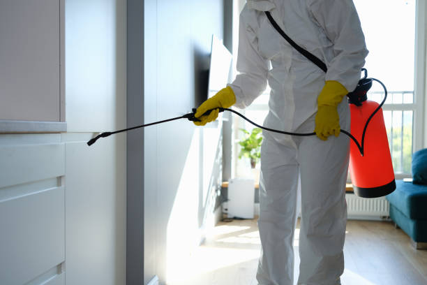 Best Toxic Mold Removal  in Washington Park, IL